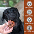 Pet Craft Supply USA Made Meaty Beef Knee Caps Bones, 10-Pack, Dog Treats for Aggressive Chewers