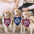 STMK Big Brother Big Sister Dog Bandana, Pregnancy Announcement Plaid Gender Reveal Photo Prop for Dogs
