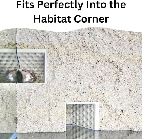 Hermit Crab Underground Tunnel Cave Corner | Hermit Crab Climbing Tank Decor Hide Hideout | Enrichment Habitat Hideaway
