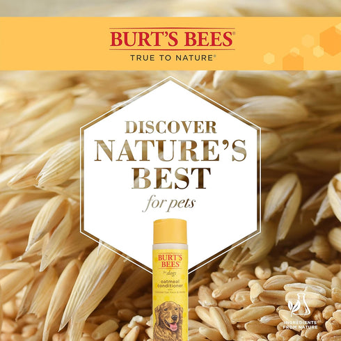 Burt's Bees for Pets Oatmeal Conditioner - Naturally Derived Dog Oatmeal Shampoo, 10 Oz - 2 Pack