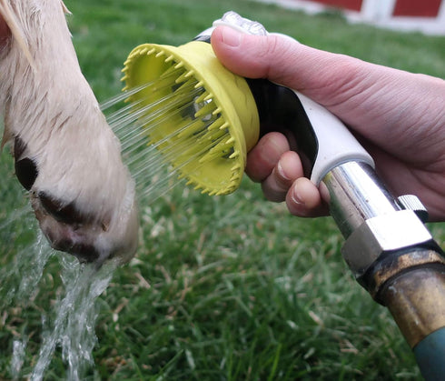 Outdoor Dog Wash Nozzle for Bathing, Quick Paw Rinses, Splash Shield Handle, Rubber Grooming Brush, Metal Connection