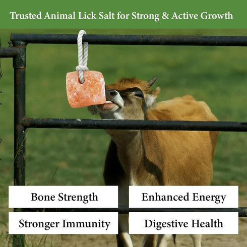 100% 18 lbs (Pack 4) Himalayan Pink Salt, Mineral Salt Block on Rope, Organic Pink Salt for Horses, Cows, Deer