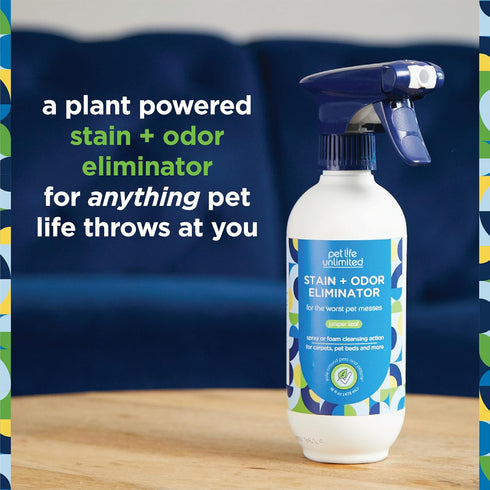 Pet Stain and Odor Remover Foaming Spray, 16 Ounce, Plant-Based Enzyme Cleaner with Juniper Leaf Scent