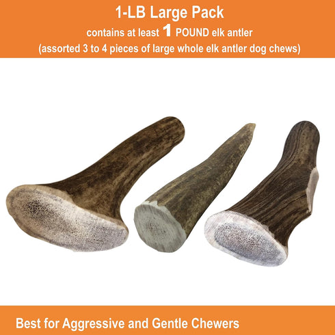 Elk Antler Chews for Dogs - Naturally Shed USA Collected A-Grade Premium Elk Antlers, 1-LB Large Cuts, All Natural