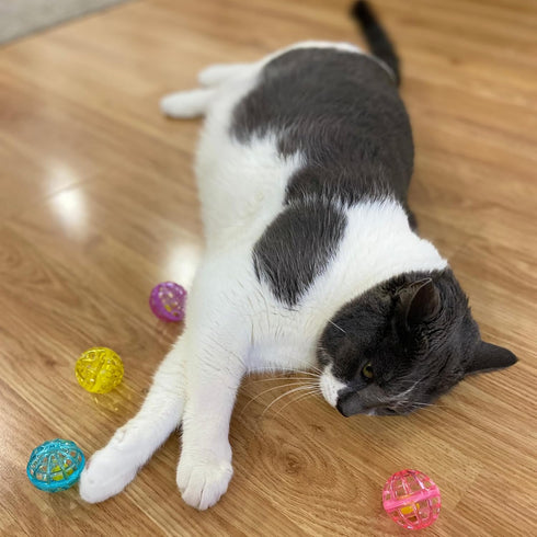 SPOT Ethical Products Lattice Balls Cat Toy, 3 Pack