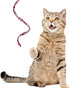 Sumind 3 Pieces Jungle Cat Wand Teaser Charmer Interactive Fun Toys for Kittens, 3 Styles (Classic Color)