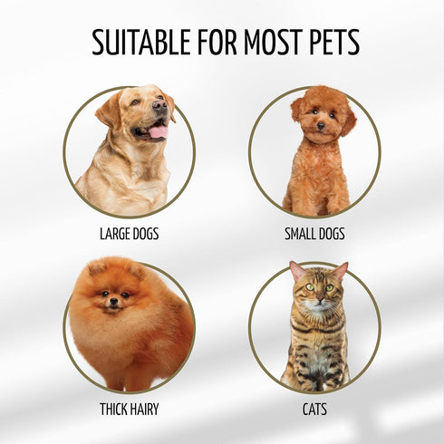 Wooden Massage Brush for Dogs and Cats, Premium Design with Soft Cushion, 24 x 6 cm