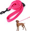 Mile High Life Bungee Dog Leash, Gentle Pull Training Lead for Dogs/Cats Under 20 lb, Soft Comfort Texture, 3-5 Feet