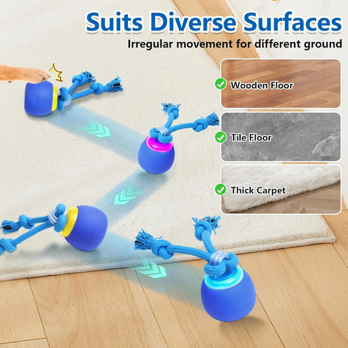 Saolife Interactive Dog Toys with Motion Activated, Squeaky Dog Toy Active Rolling Ball for Puppy and Medium Dogs, USB