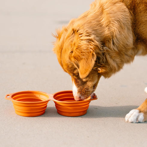 Pup Culture Dual Collapsible Dog Bowls | Portable Silicone Travel Water Bowl for Dogs | Food Grade, No Plastic Rim,