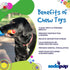 SodaPup Hot Dog – Durable Dog Chew Toy Made in USA from Non-Toxic Nylon for Mental Stimulation and Clean Teeth
