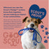 Good Scout 2-Piece Deshedding Tool Set, Cat & Dog Comb for Grooming and Matting