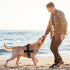 Dogline Reflective No-Pull Adjustable Harness with Handle for Walking, Training, Breathable, No-Choke Vest for Small,