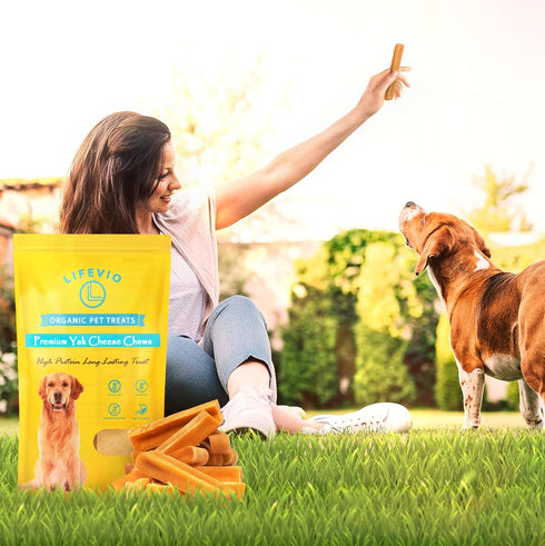 Premium Himalayan Yak Cheese Dog Chews - Pack of 6 Long Lasting Sticks Made with 100% Natural Yak Milk, Pink Salt, and