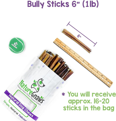 Nature Gnaws Bully Sticks for Dogs, 5-6" (1Lb) - Mixed Thickness, Long Lasting Natural Beef Chew Bones for Aggressive