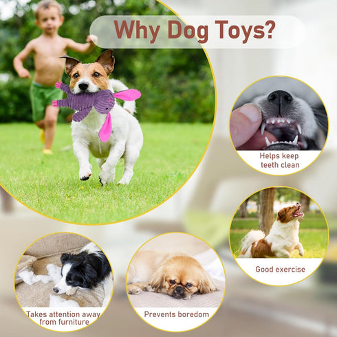 5 Pack, Prime Pets Dog Toys, Plush Dog Squeaky Toys, Assortment Value Bundle Animal Pet Toy for Small Medium Large