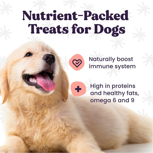 Sustainable Insect Protein Dog Treat for Canine Health, Pumpkin and Goji Berry Flavor, 6 Oz Resealable Bag
