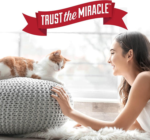 Nature’s Miracle Set-In Stain Destroyer, 24 Ounces, Oxy Formula With Orange Scent for Cat Messes