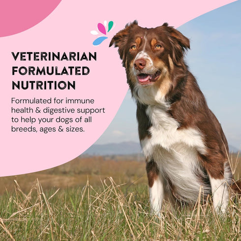 60 Count Daily Wellness Supplements for Dogs | Probiotic & Prebiotic Benefits with Fish Oil & Seaweed to Keep Your Dog