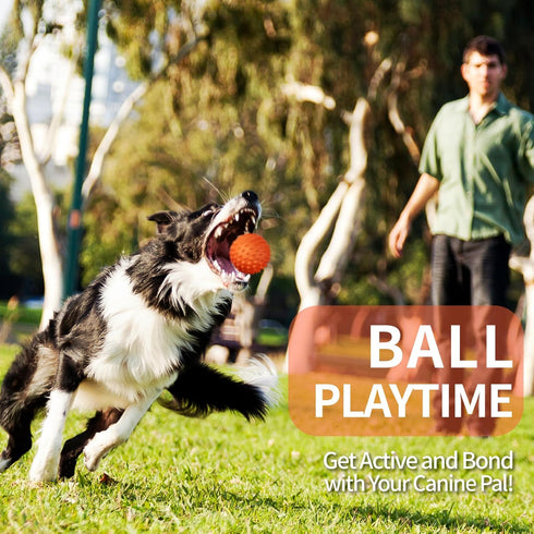 Apasiri Squeaky Dog Balls for Aggressive Chewers, 2 Pack Dog Toys for Large Breed