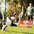 Apasiri Squeaky Dog Balls for Aggressive Chewers, 2 Pack Dog Toys for Large Breed
