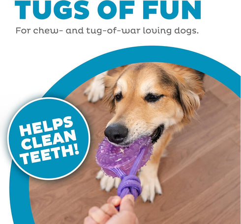 Outward Hound 2-in-1 Dental Chew Wheel Dog Chew Toy and Tug Toy, Purple