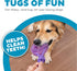 Outward Hound 2-in-1 Dental Chew Wheel Dog Chew Toy and Tug Toy, Purple