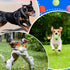 50 2.5'' Liliful Pieces Dog Squeaky Tennis Balls for Pet Playing Medium Large Dogs Puppy Balls for Training Toy