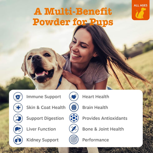 10-in-1 Immune, 30 Zesty Paws Dog Multivitamin - Gut, Joint, Skin & Coat Support, and More - Dog Vitamins