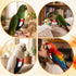 HekouJiub Bird Diaper Harness Flight Suits, Cockatiel Diaper Cute Parrot Pants Urine Wet for Cockatiel Conure Macaw