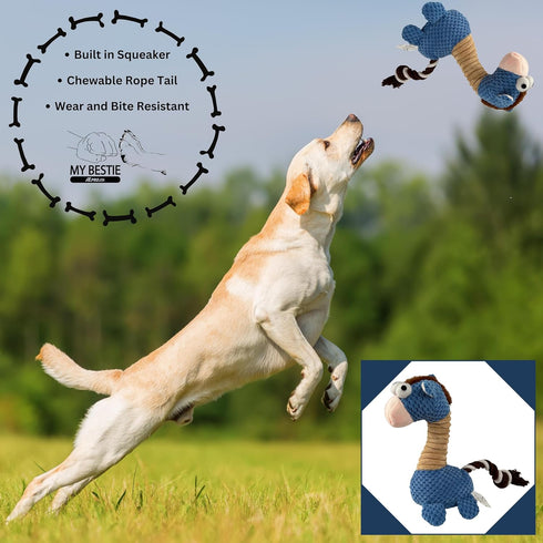 ATE Pro. USA 5 Set, Set, Puppy Supplies Starter Kit, pc Retractable Leash, Studded Leather Collar, Pet Grooming Brush