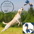 ATE Pro. USA 5 Set, Set, Puppy Supplies Starter Kit, pc Retractable Leash, Studded Leather Collar, Pet Grooming Brush