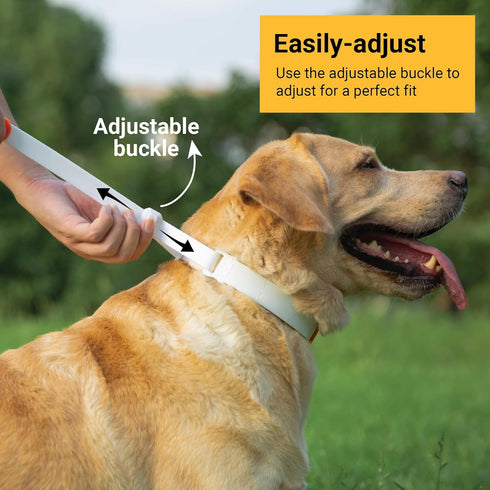 SVD.PET Dog Prong Collar for No-Pull Training, Adjustable Pinch Collar for Large Dogs (White, Large Size)