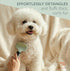 8-in-1 Set HamInWay Pet Grooming Kit for Dogs & Cats Includes Brushes, Combs, Nail Clippers & File Professional