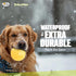 Gnawsome 4.5” Spiky Squeak & Light Ball Dog Toy - Extra Large, Cleans Teeth, Promotes Dental Health, Colors Vary