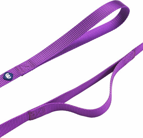 Blueberry Pet Essentials Double Handle Dog Leash for Traffic Control | 4ft. x 1" Large Dog Leash | Classic Dog Leash with Two Handles for Dogs That Pull | Nylon 2 Handle Dog Leash in Dark Orchid