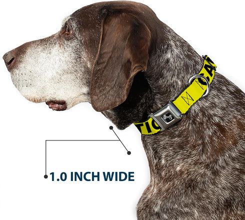 Buckle-Down Dog Collar, Wide Small, Caution Yellow/Black, 13-18"
