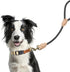 Mile High Life Short Dog Leash, 18 Inch Reflective Lead with Leather Tip for Large and Medium Dogs Training and Walking