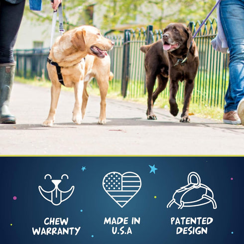 2 Hounds Design Freedom No Pull Dog Harness, Adjustable Gentle Control for Easy Walking, Made in USA