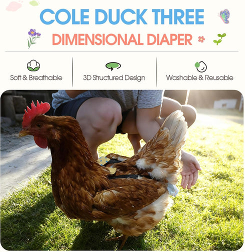 QBLEEV Duck Diapers for Pet Ducks & Chickens, Reusable Chicken Diaper for Indoor Poultry, Waterproof Breathable Baby