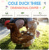 QBLEEV Duck Diapers for Pet Ducks & Chickens, Reusable Chicken Diaper for Indoor Poultry, Waterproof Breathable Baby