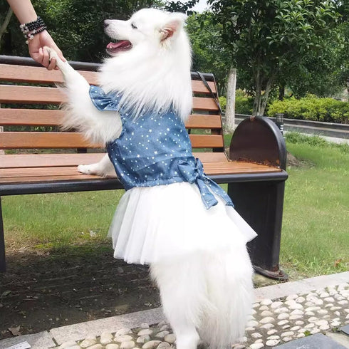 Polka Dot Big Large Dog Princess Dress Tutu Skirt, Summer Dog Clothes Hoodie Costume for Golden Retriever Pitbull (XXL,