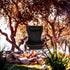 1-Pack, YSSOA Removable Footrest Reclining Camping Chair, Black