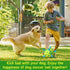 Dog Toys Soccer Ball - Durable Balls with Strap for Medium Small Dogs - Puppy Birthday Gifts and Tug Toy
