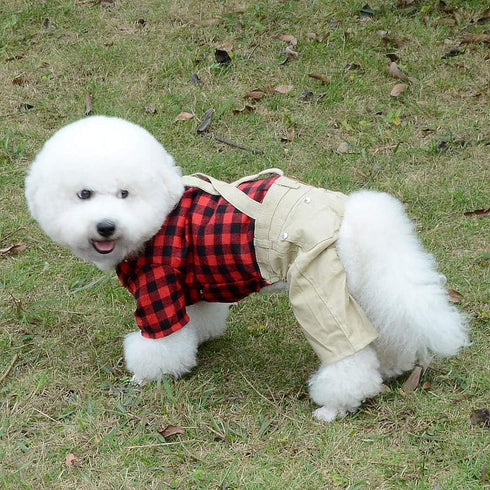 SMALLLEE_LUCKY_STORE Pet Clothes for Small Dog Cat Red Plaid Sweater with Khaki Overalls Pants Jumpsuit Outfits XS