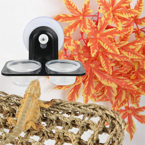 SLSON Gecko Feeder Ledge Acrylic with 20 Pack 1 oz Plastic Bowls - Improved Suction Cup Reptile Feeder, Black