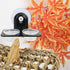 SLSON Gecko Feeder Ledge Acrylic with 20 Pack 1 oz Plastic Bowls - Improved Suction Cup Reptile Feeder, Black