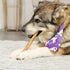 USA Beefhide Chip Rolls, 10-11" Dog Chew Treats, Chicken Flavor, 10 Count