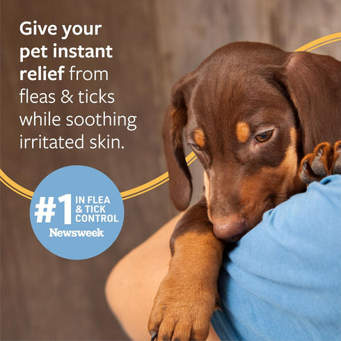 16 oz Veterinary Formula Flea and Tick Shampoo for Dogs and Cats