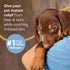 16 oz Veterinary Formula Flea and Tick Shampoo for Dogs and Cats